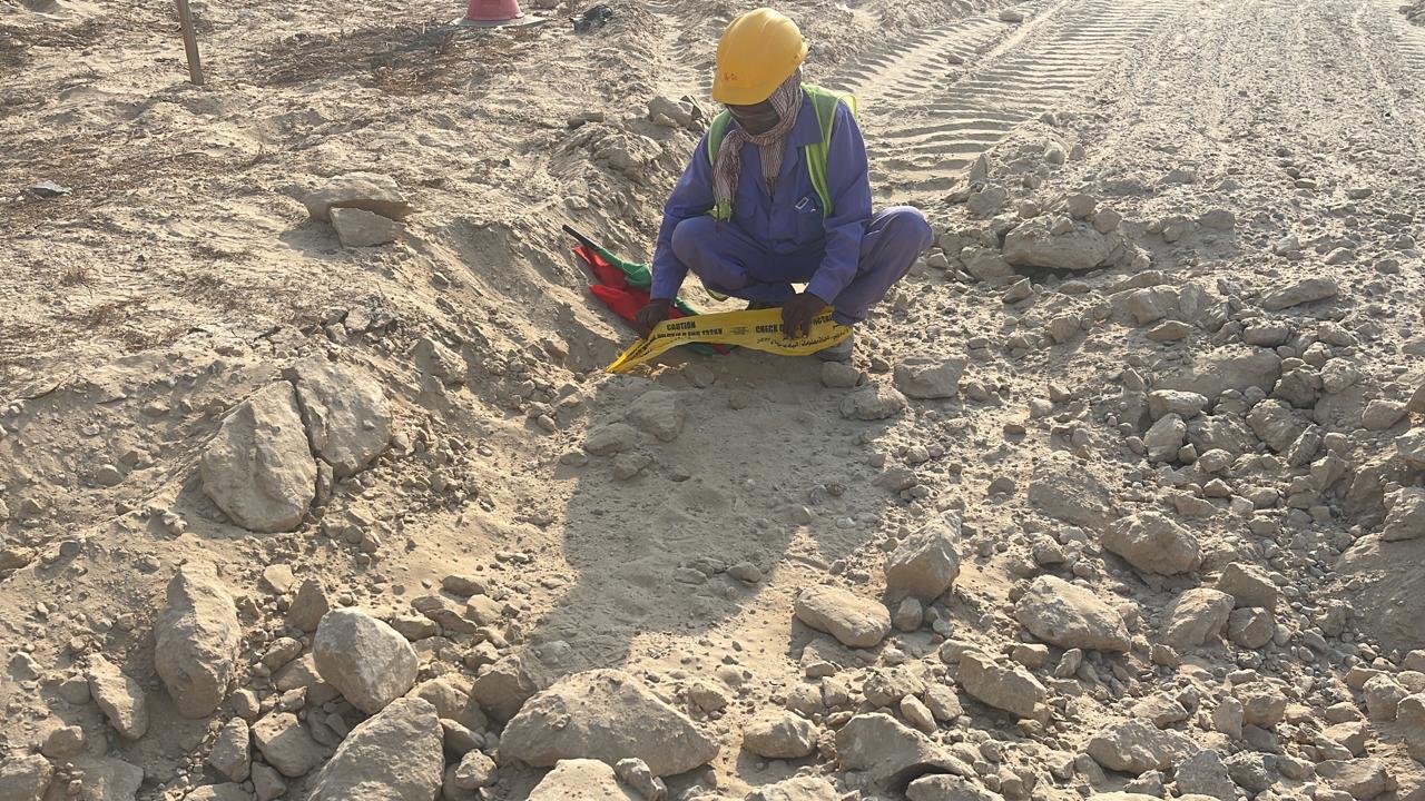 Landscaping with Al Bania 2